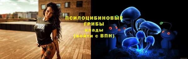 спайс Алексеевка