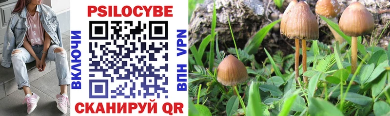 Псилоцибиновые грибы MAGIC MUSHROOMS  Калтан 